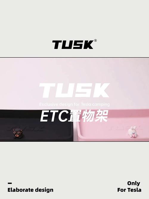 深夜的海苔 一种温柔的驾驶仪式