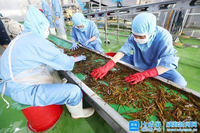 海苔科技 以科技之翼托举精致威海的幸福味觉