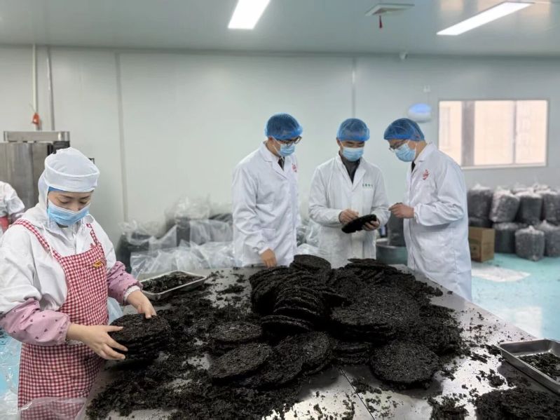 “中国紫菜之乡”产品首次供港 开启共富新篇章 海苔科技